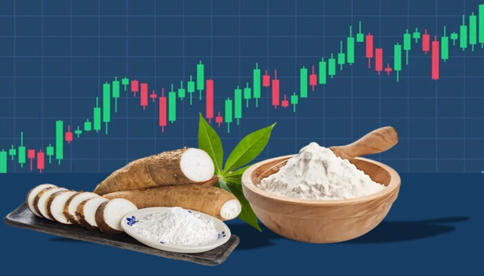 Global Cassava Market
