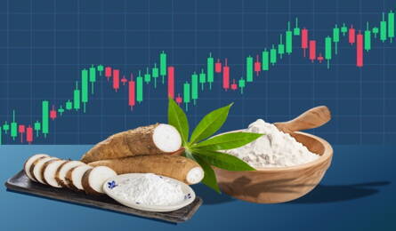 Global Cassava Market