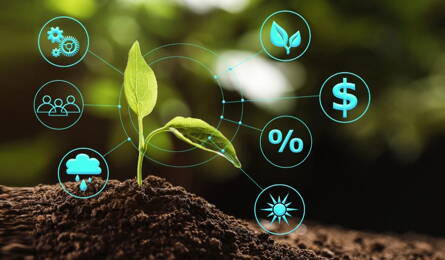 Sustainability & Industry Goals 